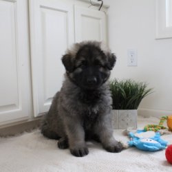 blue boy sitting 6.5 weeks